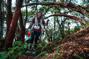 BIB: 
                            <button type="button" onclick="openModal(26345493)" class="btn btn-primary btn-sm float-right btn-popup" data-toggle="modal" data-target=".modal-high-quality">
                        <i class="fas fa-shopping-cart"></i> Add to Cart
                    </button>
                                            <button type="button" onclick="isThisMe(26345493, true)" class="btn btn-success btn-sm float-right btn-popup btn-isme hidden" data-toggle="tooltip" data-placement="bottom" title="นี่คือรูปของคุณใช่ไหม คลิกที่นี่เพื่อเอาเข้าอัลบั้ม">
                        <i class="fas fa-plus"></i> Add to album
                    </button>
                    <button type="button" onclick="isThisMe(26345493, false)" class="btn btn-warning btn-sm float-right btn-popup btn-isnotme hidden">
                        <i class="fas fa-ban"></i> Remove from album
                    </button>